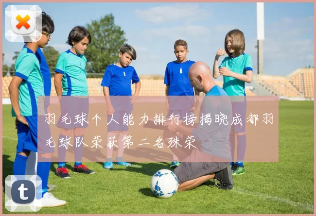 羽毛球个人能力排行榜揭晓成都羽毛球队荣获第二名殊荣