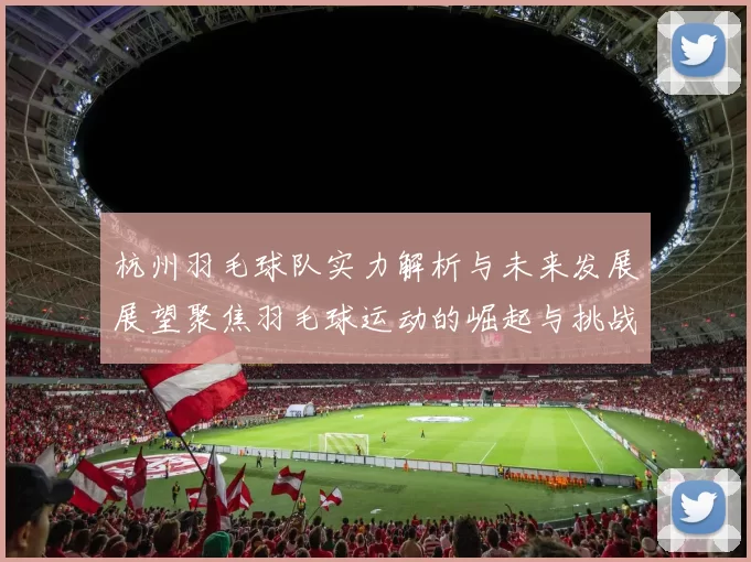 杭州羽毛球队实力解析与未来发展展望聚焦羽毛球运动的崛起与挑战
