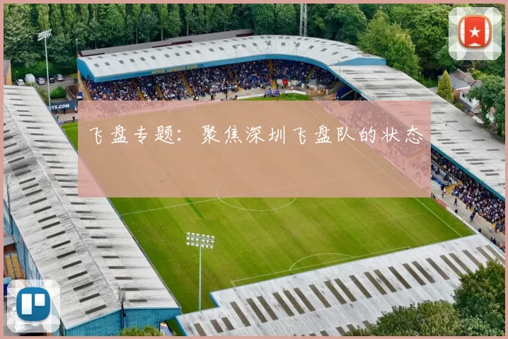 飞盘专题：聚焦深圳飞盘队的状态