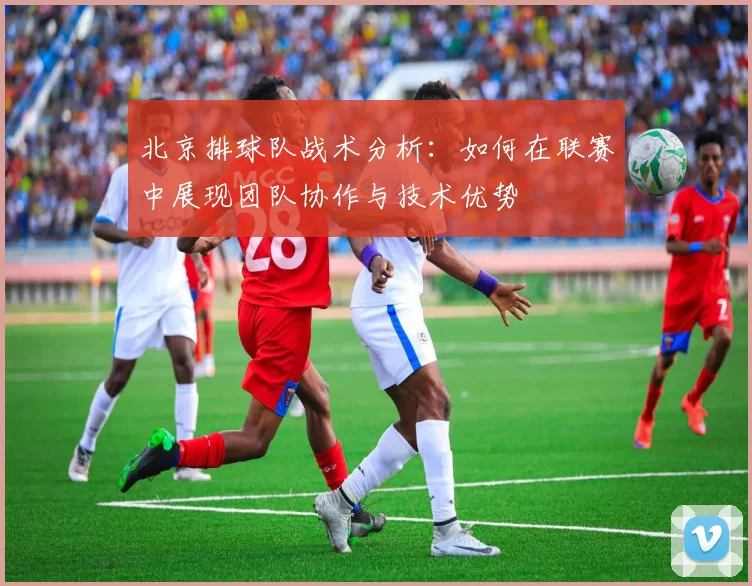 北京排球队战术分析：如何在联赛中展现团队协作与技术优势